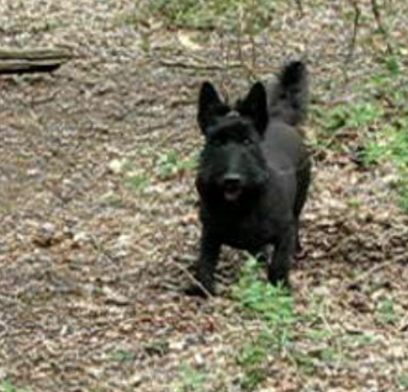 john and cath briest